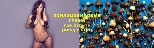 амф Зеленодольск