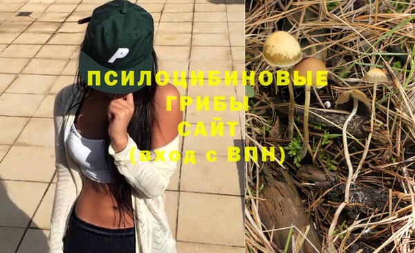 мяу мяу кристалл Зерноград