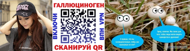 Купить закладки  Великие Луки  Псилоцибиновые грибы MAGIC MUSHROOMS 